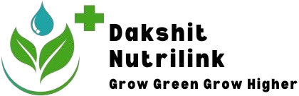 logo removebg preview