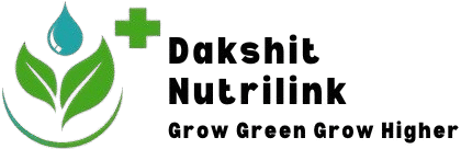 logo removebg preview
