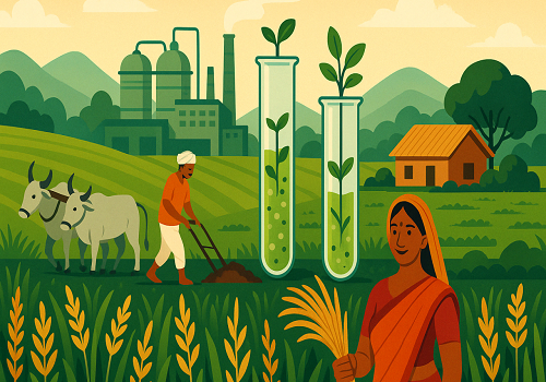farm animated