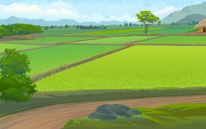 farm fields