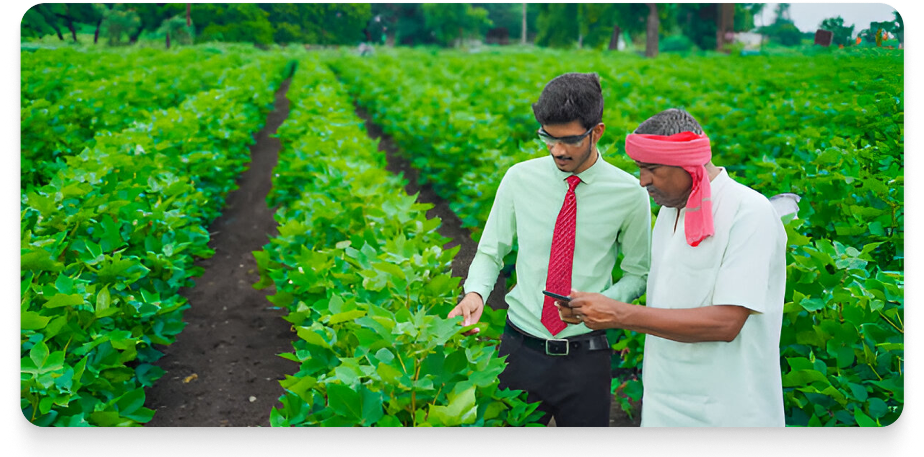 farmer1