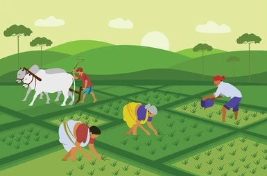 indian agriculture working farmer